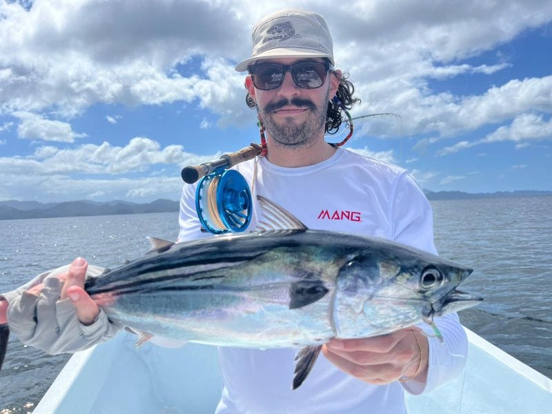 Bonito on fly — nice fight