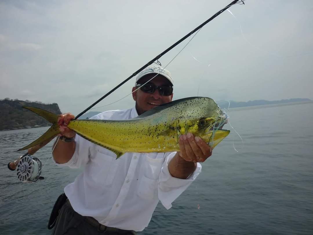 Mahi-mahi on fly rod