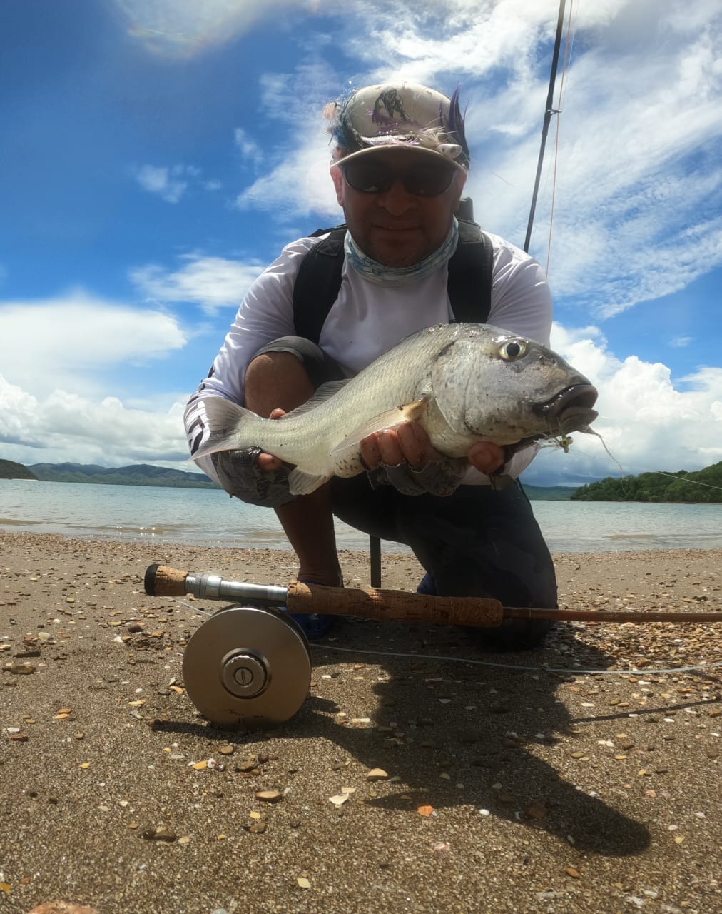 Yellowfin tuna close-up